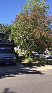 Modesto Police Department on Reels