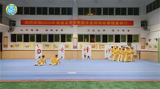 China National Wushu Taolu Competition Highlights