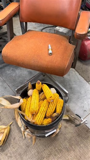 Old-school ingenuity at work. #VintageFarmer #CornSheller #OldSchoolCool #FarmingLife | ElixirEnclave