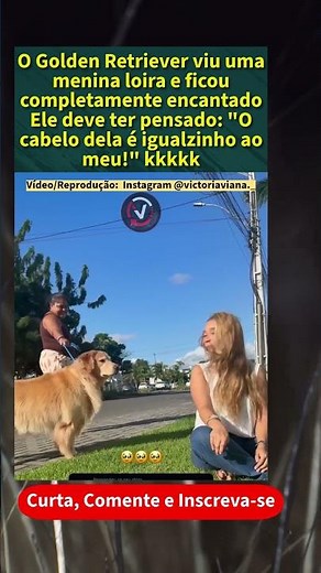 O dia em que um Golden encontrou sua versão humana 😂🐾 #attvc