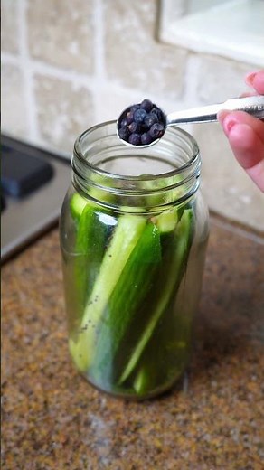 How to make Homemade Dill Pickes #pickles #dillpickles #pickled #homemade #cookingtips