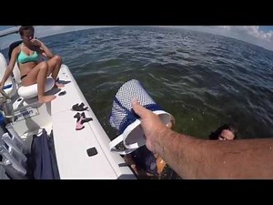 Scalloping 2016 [Homosassa] | Nature's Resort