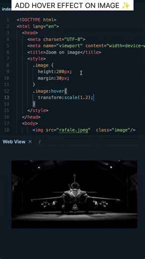 Add Hover effect on Images on your website | #html #css #webdevelopment #codedrift