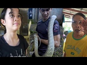 ANG PAG HAHANAP SA UMAATAKI NA KING COBRA