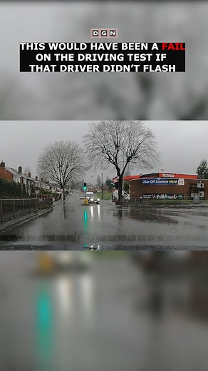 8.8K views · 44 reactions | Cat got lucky here as the driver flashed her #driving | DGN Driving | Facebook