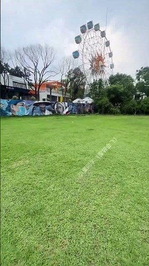 Sugar Glider Flying Back Training: Will It Work? 🔄 #PetTraining #CutePets #SugarGlider