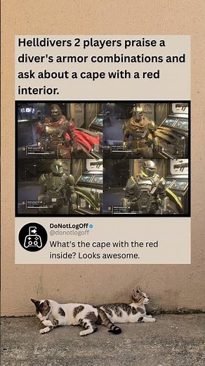 Helldivers 2 Players Praise This Stylish Armor Setup #Helldivers2