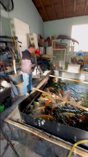 Hanno spezial - Von der Werkstattgrube zum Koiteich