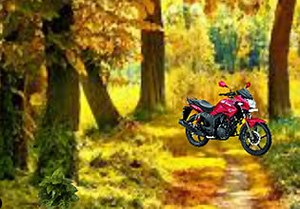 Green Forest Escape (Fun Escape Games) - Escape Fan