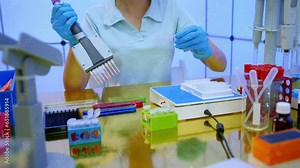 laboratory assistant in a medical laboratory examines tissue samples for genetic pathological changes