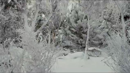 4.2K views · 204 reactions | Margen XXI - It's My Own Style (Version Club Mix) VJ AuX | MUSIC DANCE | Facebook