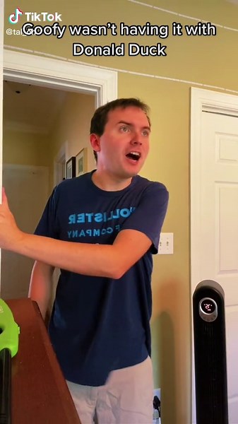 Misadventures of Donald Duck and Goofy