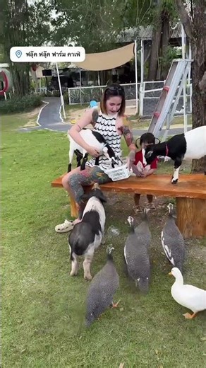 What is it, my love?