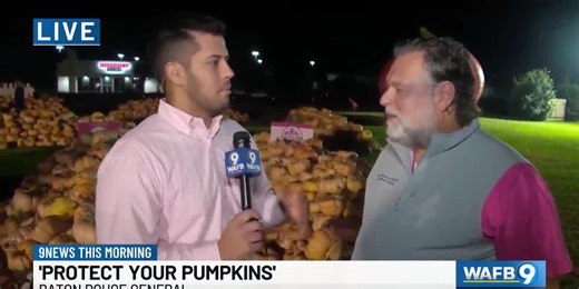 Baton Rouge General’s 'Protect your Pumpkins' campaign returns with pink pumpkin patch