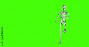 skeleton running on green screen background. motion graphic with green screen and human skeleton. seamless loop Stock Video