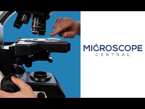 Adjusting the Focus Stop on a Microscope
