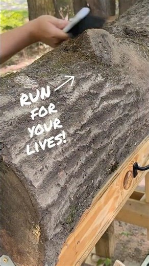 Chainsaw Milling: Tips for Perfect Log Setup