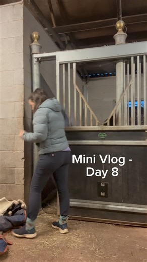 Day 8 of our mini vlogs! In today’s vlog I filmed Goatie doing the groundwork for you to watch a little bit longer clips. Any questions please do ask and enjoy ❤️ #horses #equestrian #dressagerider #horse #horsemanship | Olivia Towers Dressage