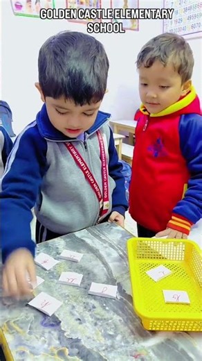 Alphabet Identification Activity