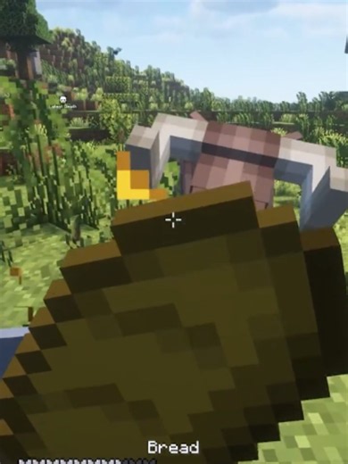 ANOTHER WEIRD ANIMAL CHARGES AT ME #minecraft #minecraftmemes #minecraftmods #fyp #fypシ゚