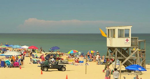 Great white sharks spotted off Cape Cod