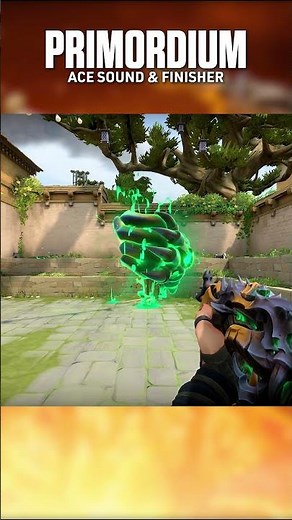 Primordium Ace Sound & Finisher | Valorant