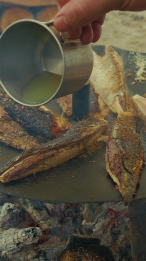 Discover the Art of Rustic Fire Cooking