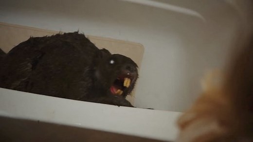 ‘Zombeavers’ Trailer
