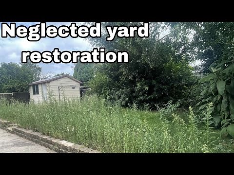 We gave this family a TOTAL YARD MAKEOVER! Mowing, edging, weeding, pruning, pressure washing