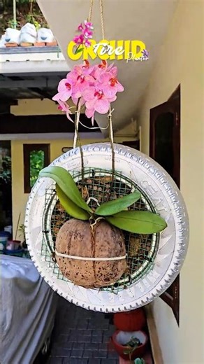 ORCHID TIRE PLANTER 🌸 | Recycled Garden Idea #diy