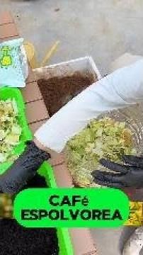 El Mejor Fertilizante Casero: Haz Compost en 15 Días
