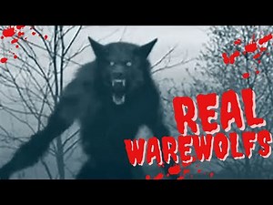 "Real Werewolves in History – Shocking True Cases!"
