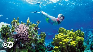 Saving Fiji's coral reefs