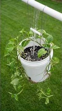 99% Of People Don't Know This! Turning an Old Paint Bucket into a Million-Dollar Solution