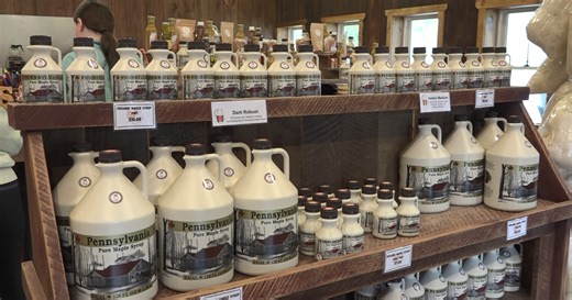 Sweet Fun: Maple Weekend returns to the Northern Tier