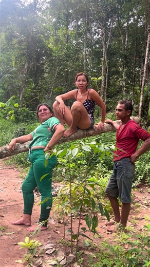 Os vídeos de Larissa Pacheco (@larissa.pacheco36) com som original - Vibe paraense 🎶