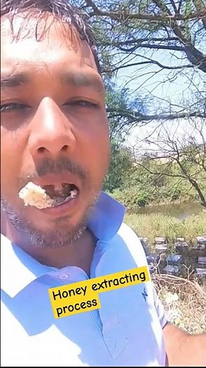 honey extracting process || honey bee Farming in India with practical