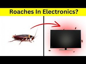 Finding Cockroaches in Electronics? How To Kill Them!