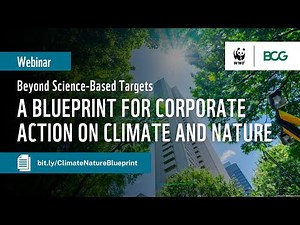 Beyond Science-Based Targets: A Blueprint for Corporate Action on Climate and Nature
