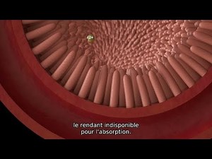 Bioplex Trace Minerals Animation - French Subtitles