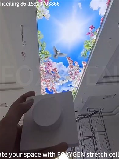 💥Custom - made FOXYGEN stretch ceilings! Factory - direct wholesale!💥 Great news for B - end clients like wholesalers and building firms! Our stretch ceilings can be customized in size and pattern, printed with imported ink on PVC film, and installed with aluminum profiles. Lights are remote - controllable, with soft light changes through the film for a personalized indoor atmosphere. 🌟Custom - made size & pattern 🌟Imported ink on PVC film 🌟Remote - controlled lights 🌟One - stop service No