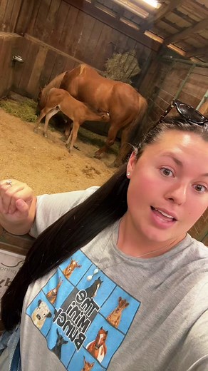 Who belongs to who!🐴❤️ #foalsof2024 #foalsoftiktok #foalingseason #foalingseason2024 #mareandfoal #aqhafoal