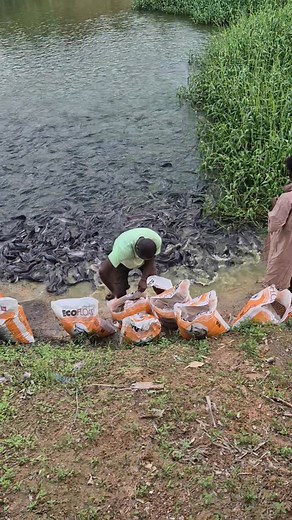 3.1M views · 45K reactions | THE WORLD DOESN'T PAY YOU FOR WHAT YOU KNOW. THE WORLD PAYS YOU FOR WHAT YOU DO WITH WHAT YOU KNOW. | Apostle Napoleon Athakpokri Oghenekaro | Facebook