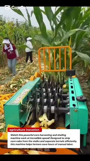 Fast Corn Harvesting Machine – Amazing Maize Sheller in Action 🌽