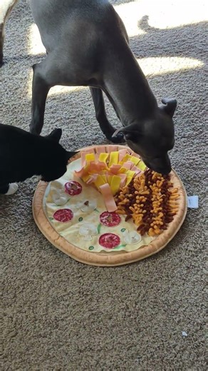 Product Review: Happi and Scratchy Give the Snuffle #Pizza Puzzle 4 paws up! Purchased @petsmart