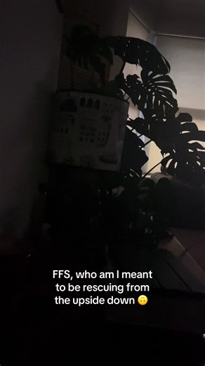 Learn Morse Code: Communication for Upside Down Adventures