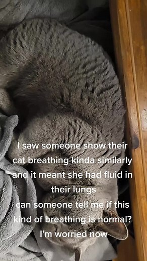 hwgavaccuv2 on TikTok