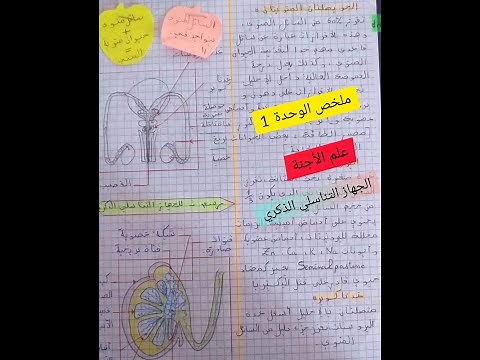 cours d'Embryologie (علم الأجنة) L1 (S2) , partie 1 تخصص بيولوجيا