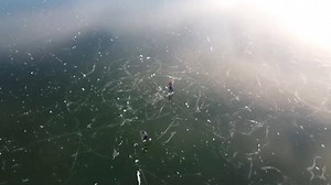 252K views · 4.1K reactions | Conditions have been perfect near...