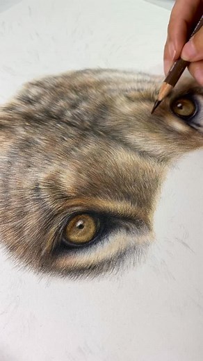 🦁 I don’t know if I’ll be taking on a big piece like this again for a while 😅 this one took sooo many hours but it was worth it! You can draw this lion with me from start to finish over on Patreon if you fancy giving it a go 🧡 If you’d rather follow along at your own pace, you can also grab the full tutorial as a one-off through the Collections section on my Patreon. 👉 www.patreon.com/rubywelstead The original is available to purchase too, just drop me a message if you’re interested. (Frame 